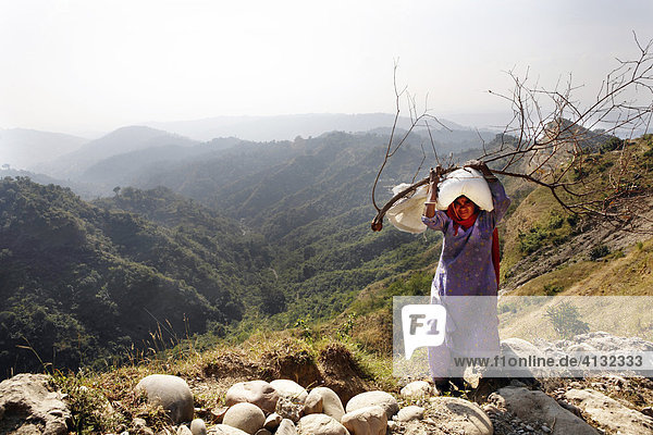 Indo-German-Changar-Eco-Development-Project  Frau Jalang mit Brennholz und Reis beim Projektgelände  Palampur  Himachal Pradesh  Indien
