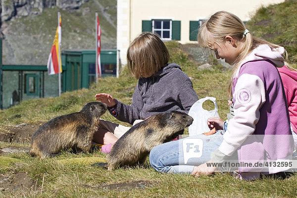 Kinder füttern Alpenmurmeltier(Marmota marmota)  Nationalpark Hohe Tauern  Österreich