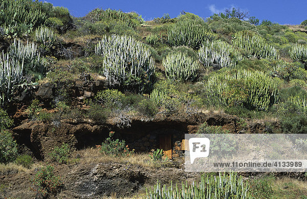 Wohnhöhle auf der Insel  La Palma  Kanarische Inseln
