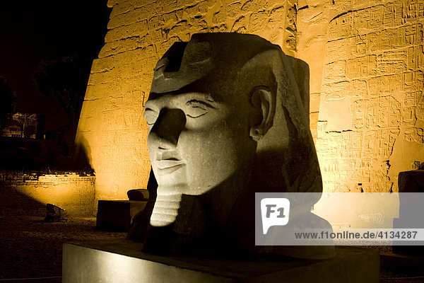 Head of Ramses II  first pylon  Luxor Temple at night  Luxor  Nile valley  Egypt  Africa