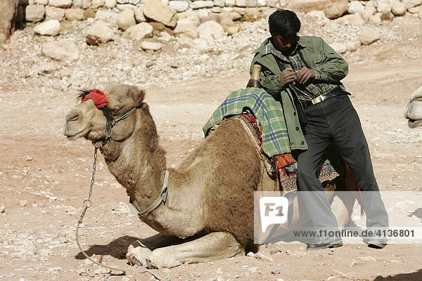 Camel riding  guide waiting for tourists  Petra Jordan