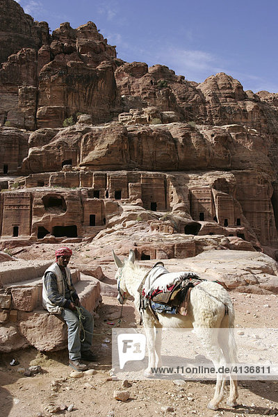 Eselreiten  Fremdenführer wartet auf Touristen  Petra  Jordanien
