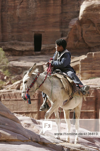 JOR  Jordanien  Petra : Touristen koennen auf Pferden  Eseln oder Kamelen in Teile von Petra reiten.