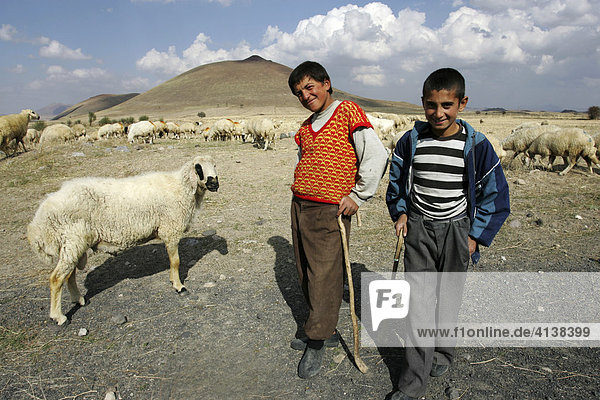 Young shepherds  between Derinkuyu and Guezelyur  Cappadocia  Turkey