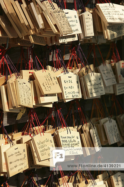 Japan  Tokio: Miiji Shrine Tempel Wunschtafeln  auf die Rueckseite schreibt man seinen Wunsch und haengt die Tafel am Tempel auf.