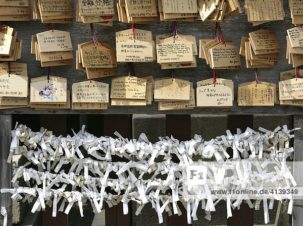 Japan  Tokio: Asakusa-Kannon-Tempel Bezirk. Wunschtafeln  auf die Rückseite schreibt man seinen Wunsch und hängt die Tafel am Tempel auf. Wahrsagezettel.