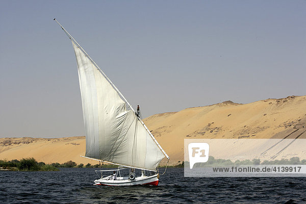 Felucke  traditionelles Segelboot  auf dem Nil bei Assuan  Ägypten  Afrika