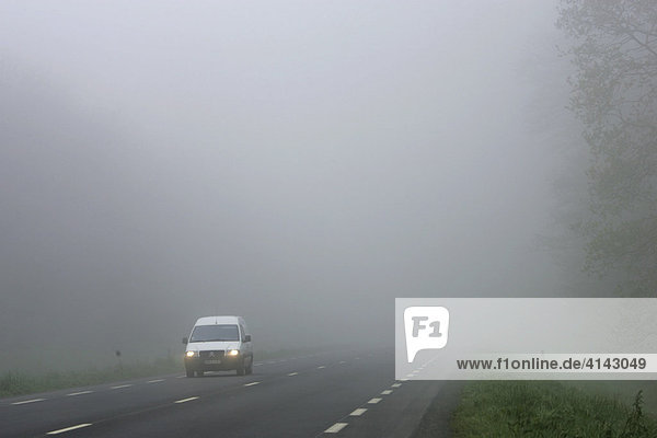 FRA  Frankreich  Normandie : Morgendlicher  dichter Nebel auf einer Landstrasse.