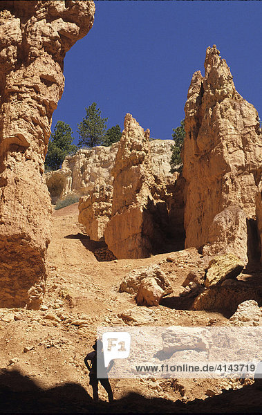 USA  United States of America  Utah: Bryce Canyon National Park  The Wallstreet.