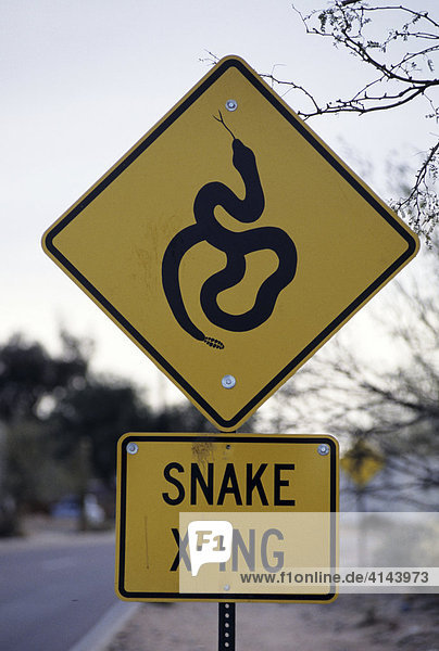 USA  Vereinigte Staaten von Amerika  Arizona: Verkehrsschild mahnt auf Schlangen zu achten die die Wuestenstrasse ueberqueren.