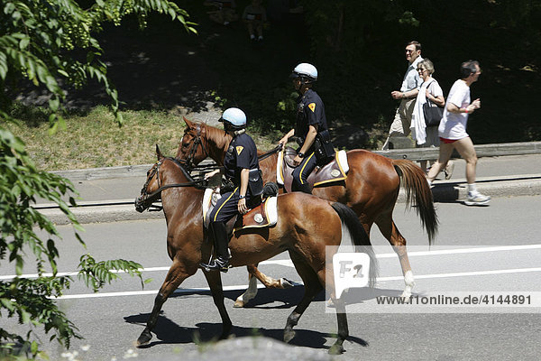 USA  United States of America  New York City: Police patrol on horses in central Park.