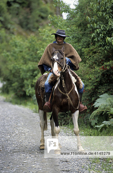 CHL  Chile  Patagonia: a Chilean cowboy  a gaucho.