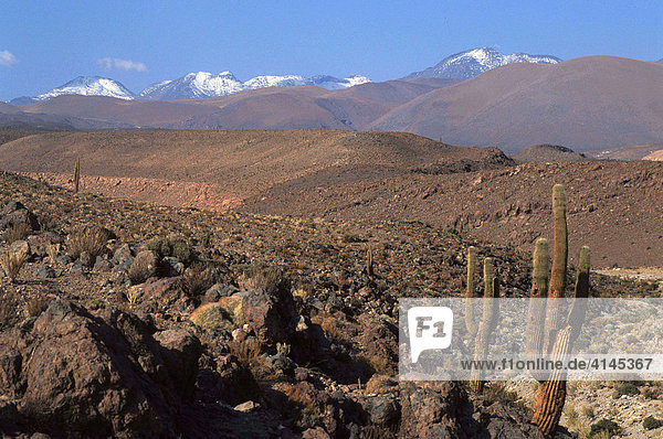CHL Chile Atacama-Wueste.