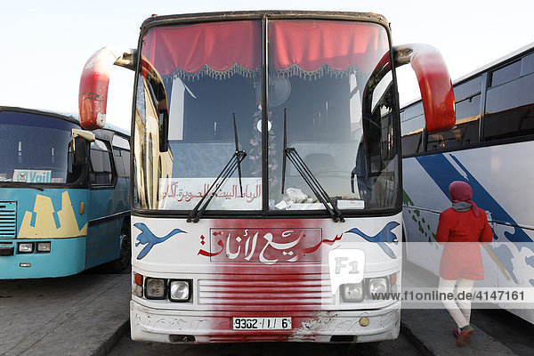 Frau mit Kopftuch geht zwischen modernen Fernbussen  Busbahnhof Essaouira  Marokko  Afrika