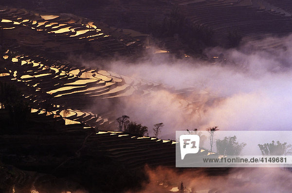 Reisterrassen bei Bada  Yuanyang  Yunnan  China  Asien