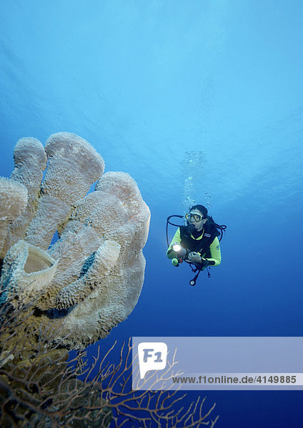 Diver on reef  Jadines de la Reina  Cuba