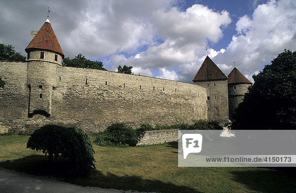 Stadtmauer  Tallinn  Estland