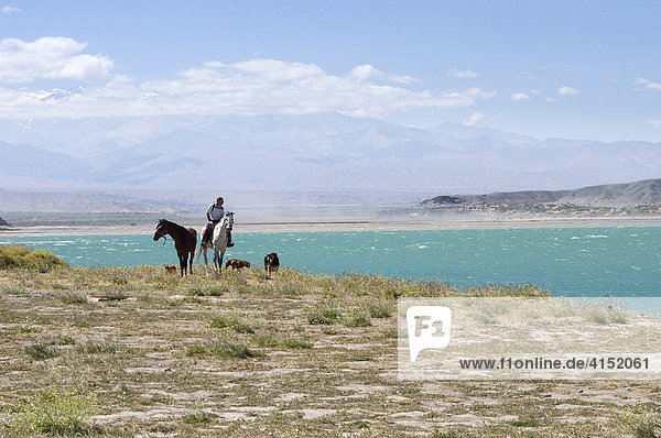 Horse rider leading horses over arid ground  at back high mountains and the windswept Cuesta del Viento dam  Rodeao  San Juan Province  Argentina  South America