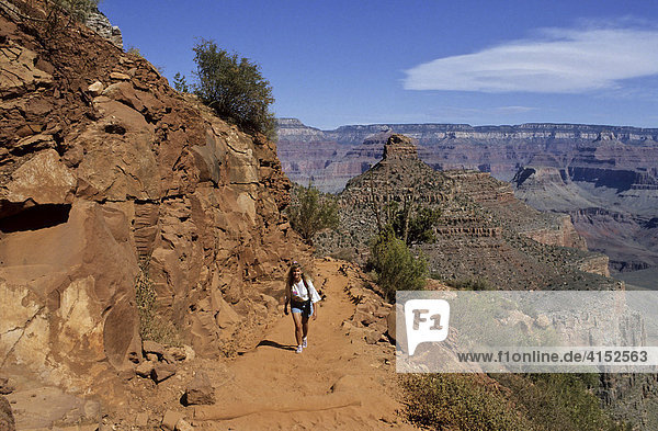 Frau wandert im Grand Canyon  Arizona  USA