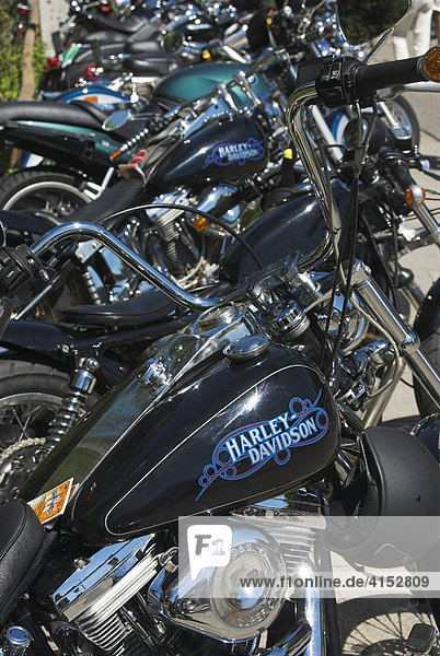 In einer Reihe abgestellte Harley Davidson Motorräder während der Harley Days 2006  Hamburg  Deutschland