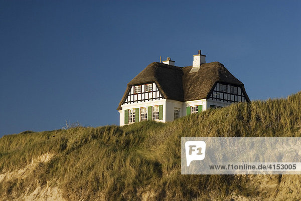 Reetgedecktes Ferienhaus an der Nordseeküste  Lökken  Jütland  Dänemark