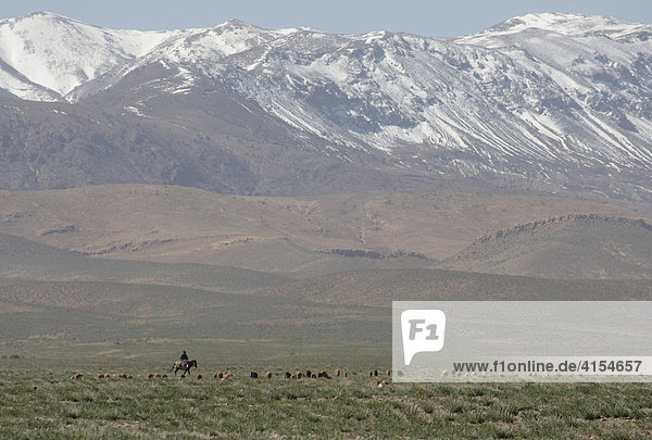 Schafhirte reitet auf Hochebene im Mittleren Atlas auf Esel  dahinter die Berge des Hohen Atlas  Marokko