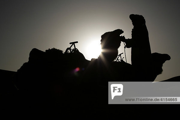 Silhouette zweier Dromedare und eines Berbers im Gegenlicht  Erg Chebbi  Marokko