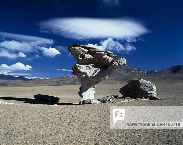 Felsskulptur Wüste von Siloli Altiplano Bezirk Ptosí Bolivien Südamerika