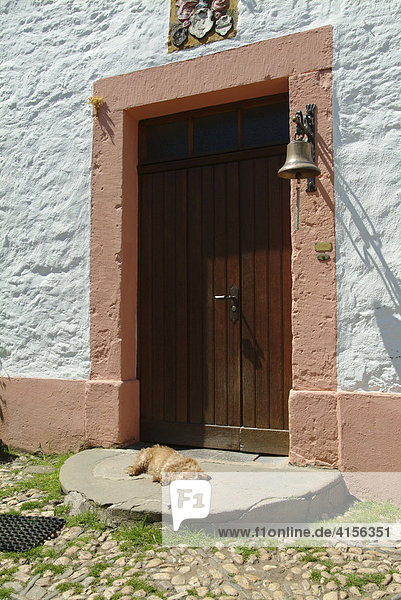 Hund schlaeft vor Tuere mit Glocke