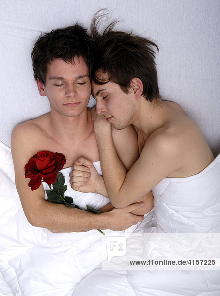 Young gay couple in bed with a rose