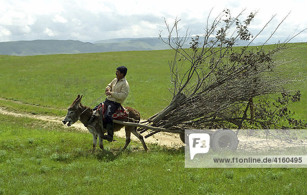 Hirte auf Esel. Steppe. Alma-Ata Gebiet  Kasachstan