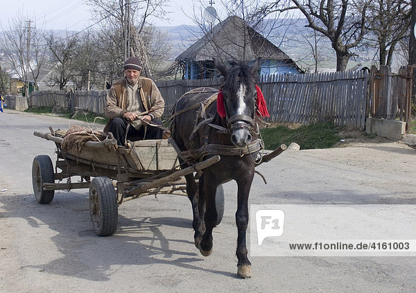 Horse drawn carriage  Gulia  Romania