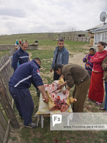 Home slaughtering  Gulia  Romania