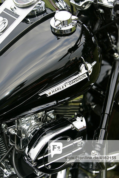 Harley Davidson  EVO  Detail.
