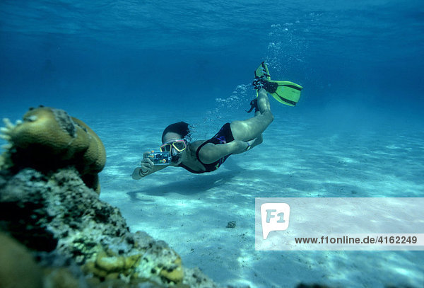 Schnorchler mit einer Fotokamera im Korallenriff  Ägypten.