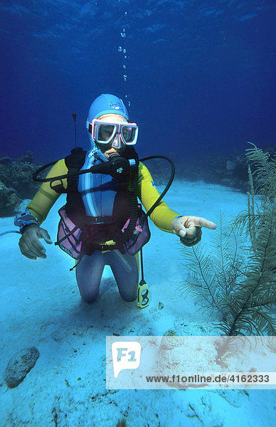 Underwater sign language look   the Caribbean.