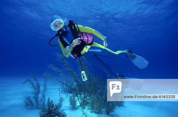 Unterwasser Zeichensprache habe einen Krampf  Taucher zeigt mit der Faust auf das Körperteil  wo der Krampf ist.Karibik.