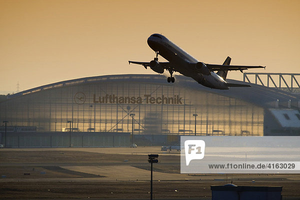 Lufthansa Airbus taking off at dusk  Lufthansa Technik hangar in background  Frankfurt International Airport  Frankfurt  Hesse  Germany  Europe