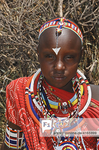 Massai  Massaifrau mit traditioneller Kleidung und Schmuck  Amboseli National Park  Kenia  Afrika