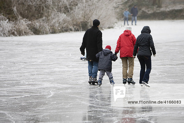 Children skating with parents on frozen lake  Hesse  Germany  Europe