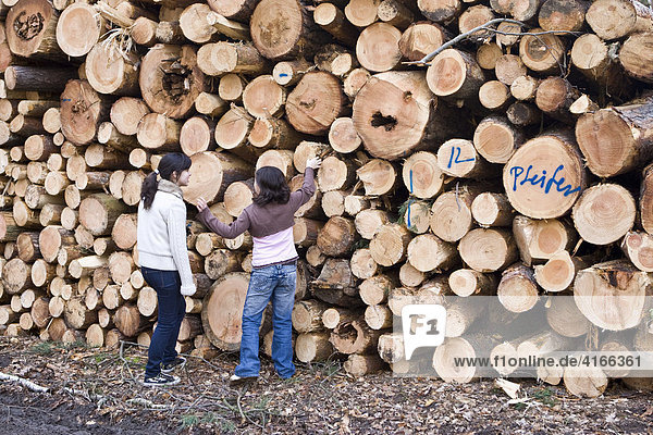 Children standing in front of a large pile of logs  trees cut down after a storm  Hesse  Germany