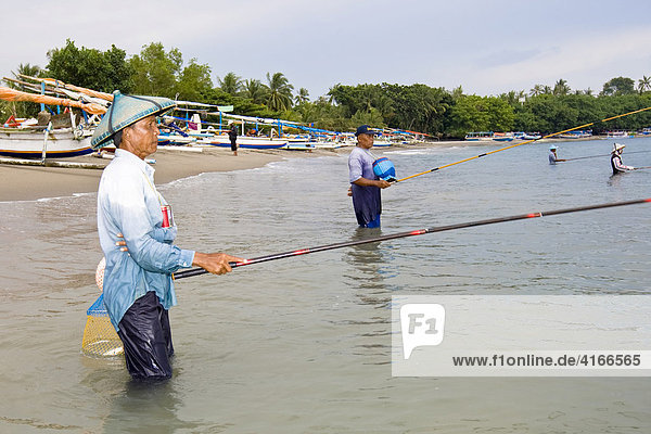 Alter Mann steht im Meer bei Senggigi und angelt in traditioneller Weise kleine Fische  Insel Lombok  Kleine-Sunda-Inseln  Indonesien