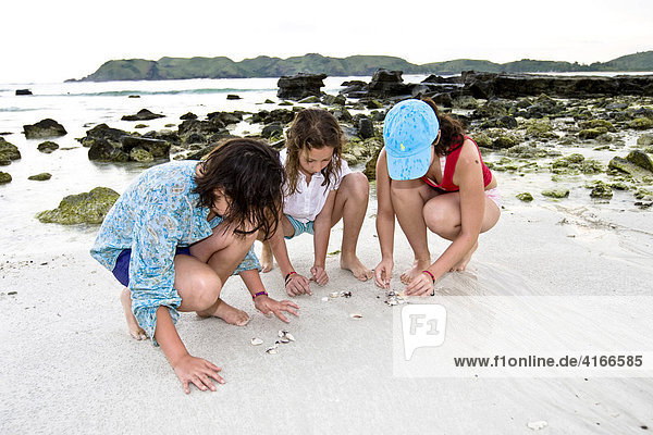Kinder suchen an einem einsamen Strand nach Muscheln und Korallen  Insel Lombok  Kleine-Sunda-Inseln  Indonesien