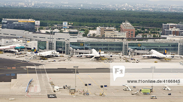 Flugzeuge stehen in Parkposition am Terminal  Frankfurter Flughafen  Frankfurt  Hessen  Deutschland  Europa