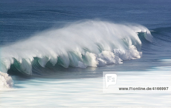 Welle des Atlantik mit Gischt-Schleier vor der Westkueste Fuerteventuras (Jandia)  Kanarische Insel  Spanien.
