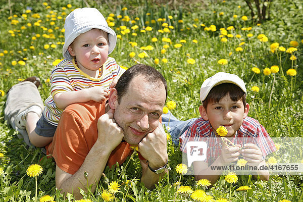 Father  Gaudenz Huggel  and his two sons lying on a dandelion meadow  Arlesheim  Baselland  Switzerland