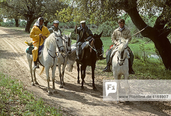 Riders in National park DoÒana - Costa de la Luz Andalusia Province Huelva Spain
