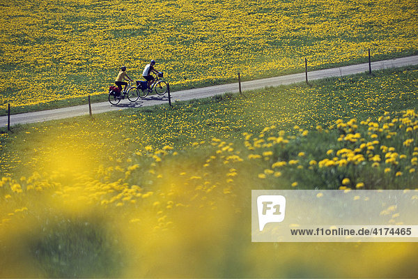 Zwei Radfahrer auf einer kleinen Straße im Frühling