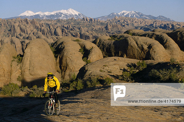 Mountain bike  Poison Spider Trail Moab  Slickrock  Utah  USA