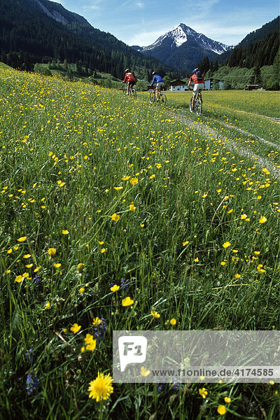 Mountainbiker  Kirchberg  Kitzbüheler Alpen  Tirol  Österreich